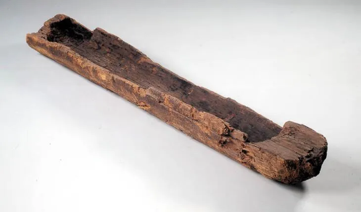 The surviving Pesse logboat is a long, narrow piece of dark pine, hollowed into a shallow trough with irregular, damaged ends.